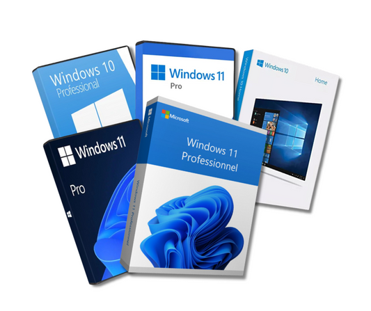 Windows OS Repair Services